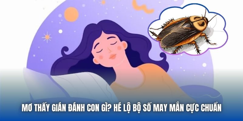 Giải mã giấc mơ thấy gián từ A đến Z 